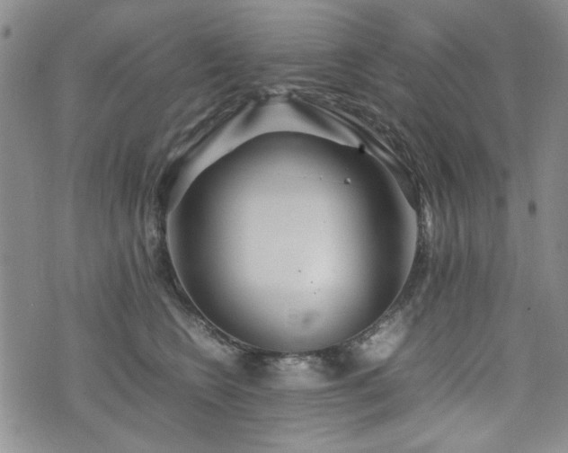 X0000074930566200609011053