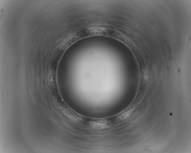 X0000074930567200609011053