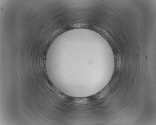 X0000074930569200609011053