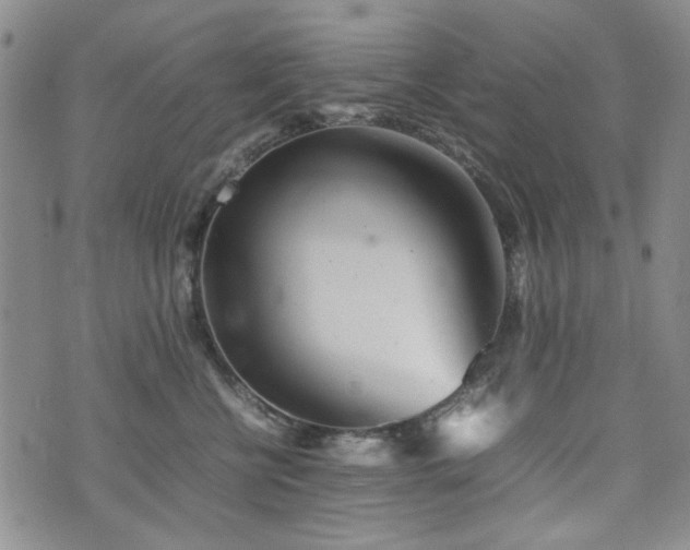 X0000074930570200609011053