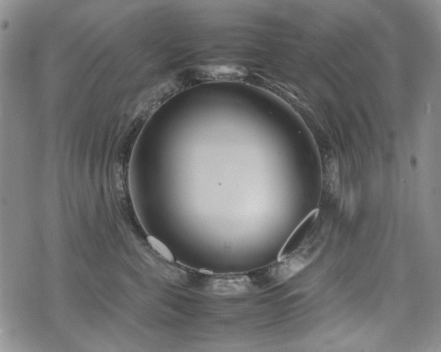 X0000074930571200609011053