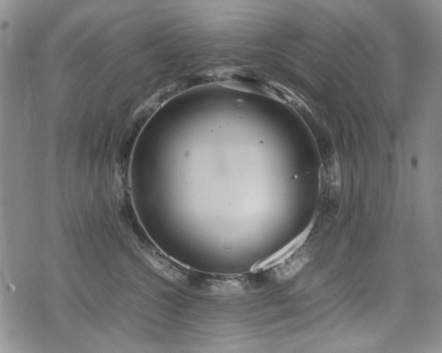 X0000074930572200609011053