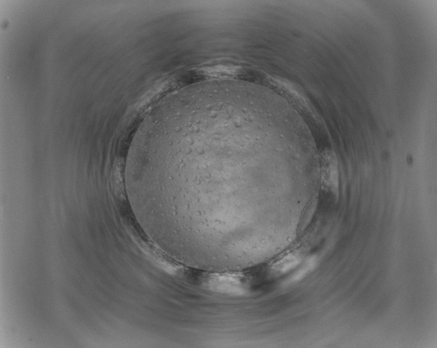 X0000074930573200609011053