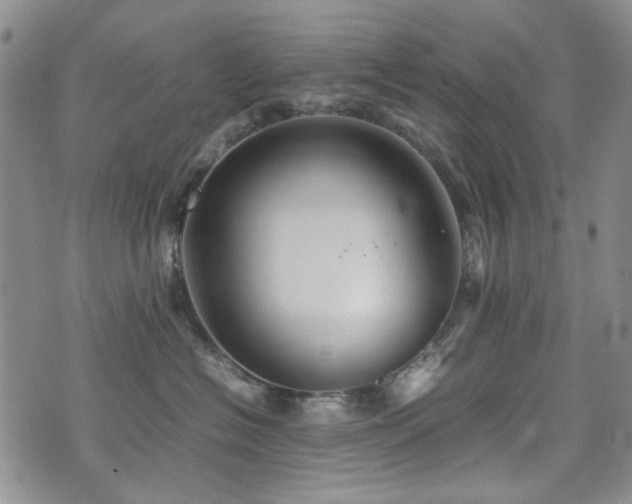 X0000074930574200609011053