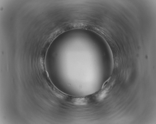 X0000074930575200609011053