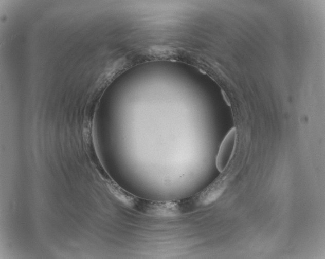 X0000074930576200609011053