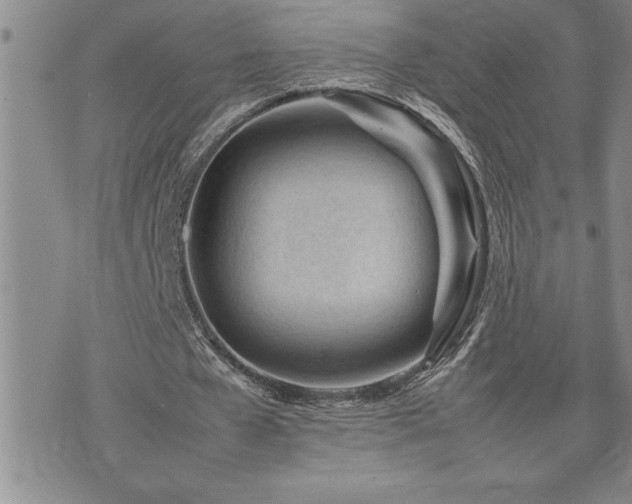 X0000074930577200609011053