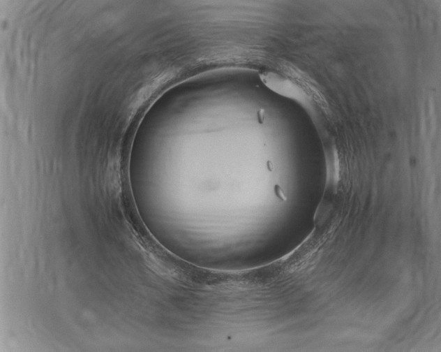 X0000074930578200609011053