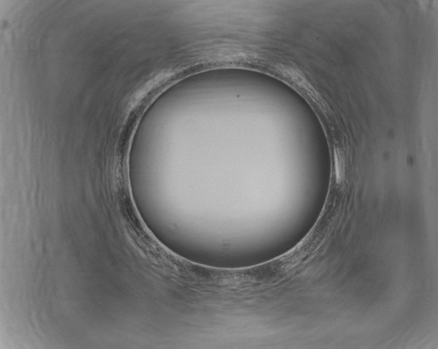 X0000074930579200609011053