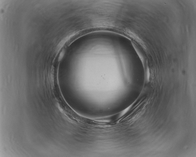 X0000074930580200609011053