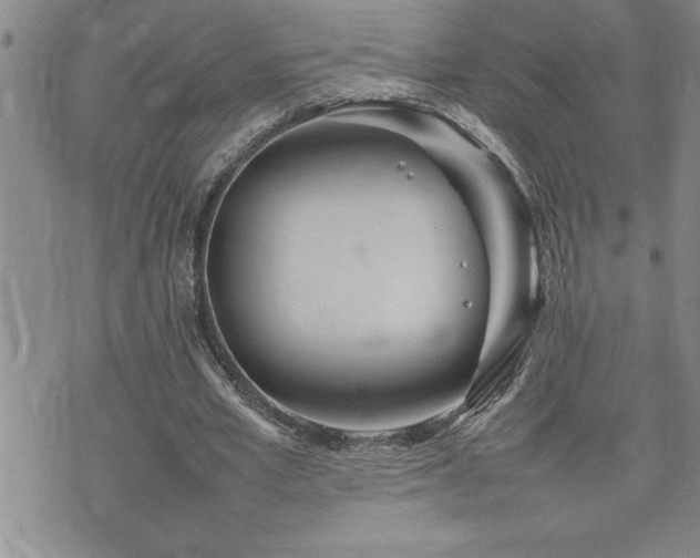 X0000074930581200609011053