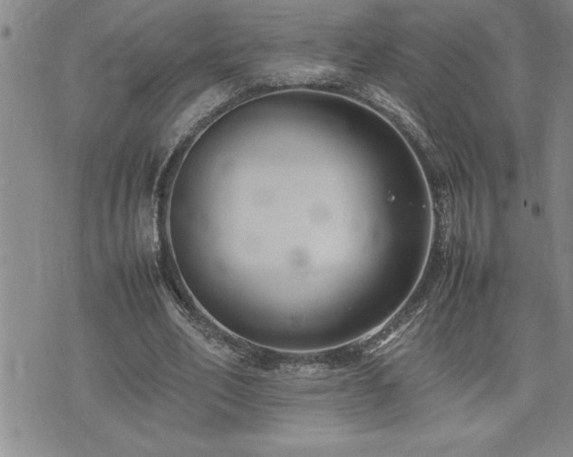 X0000074930582200609011053