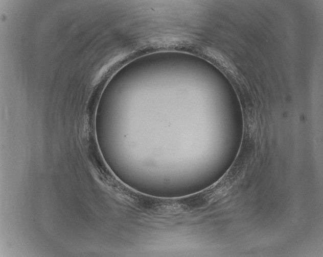 X0000074930583200609011053