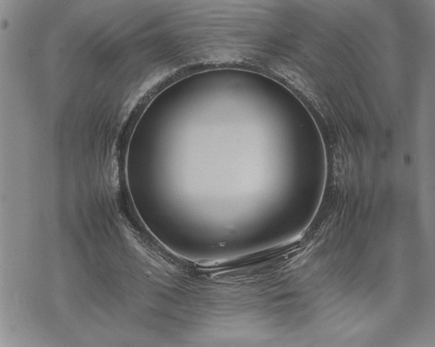 X0000074930584200609011053