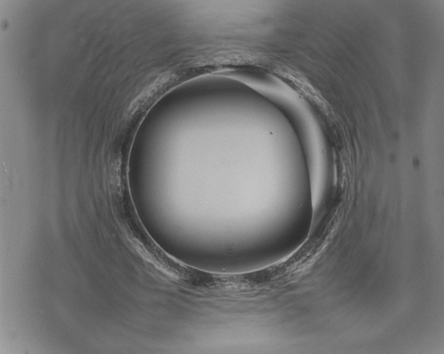 X0000074930585200609011053