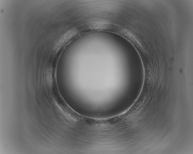 X0000074930586200609011053