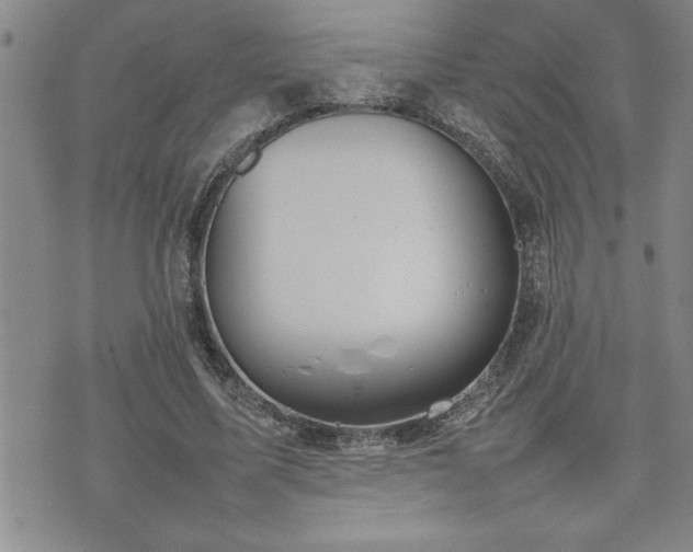 X0000074930587200609011053