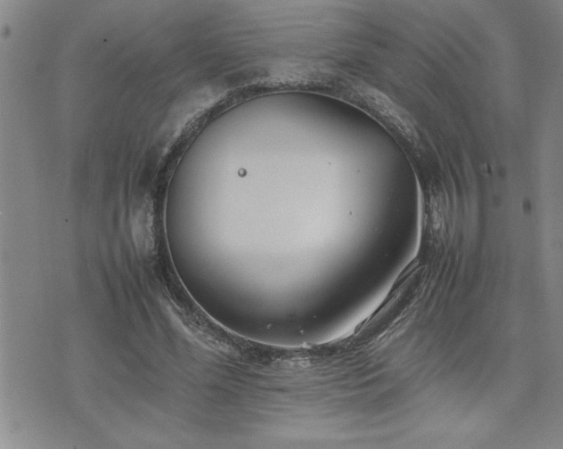 X0000074930588200609011053