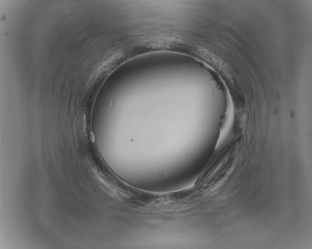 X0000074930589200609011053