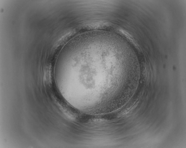 X0000074930590200609011052