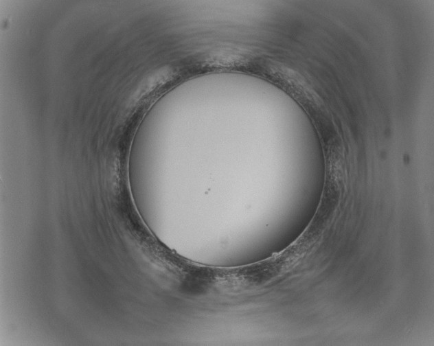 X0000074930591200609011052