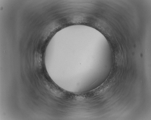 X0000074930592200609011052