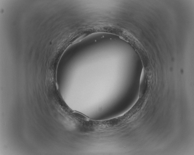 X0000074930593200609011052