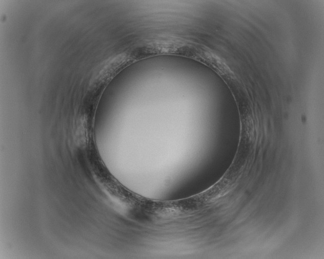 X0000074930594200609011052