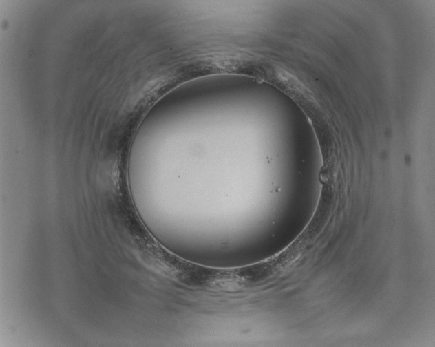 X0000074930595200609011052