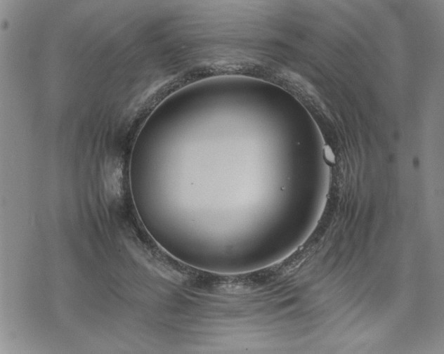 X0000074930596200609011052