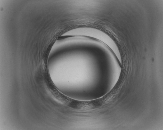 X0000074930597200609011052