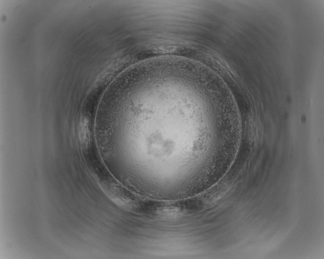 X0000074930598200609011052