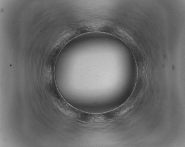 X0000074930599200609011052