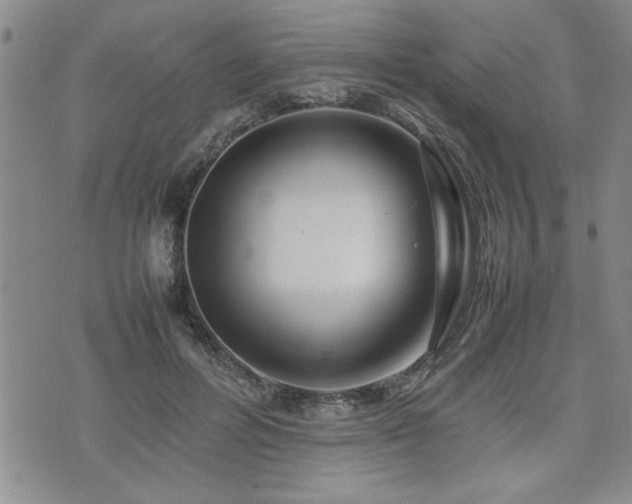 X0000074930600200609011052