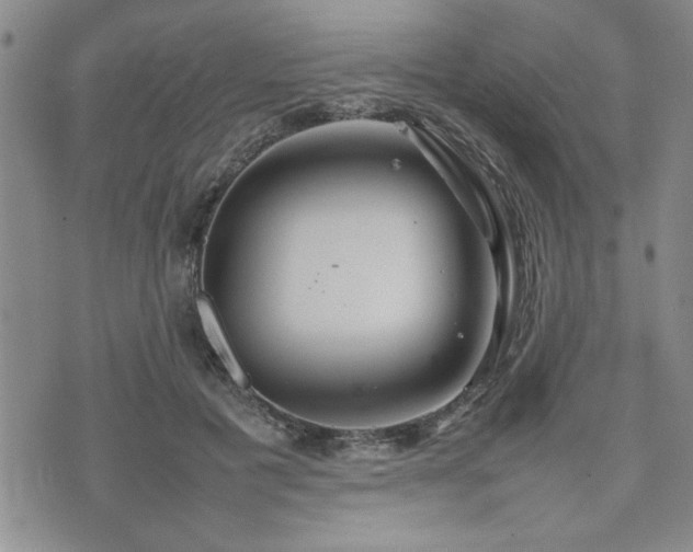 X0000074930601200609011052