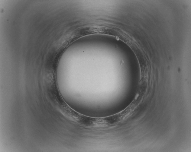 X0000074930603200609011052