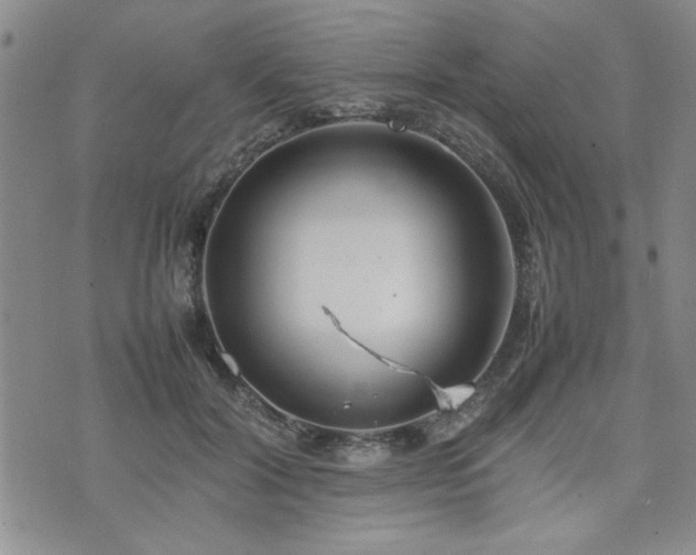 X0000074930604200609011052