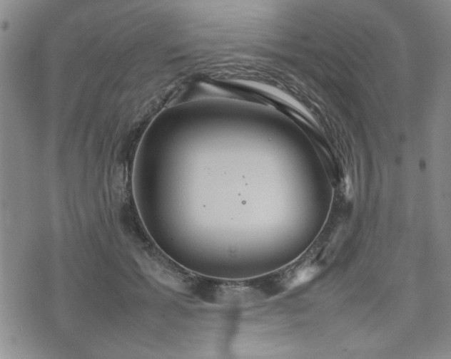 X0000074930605200609011052