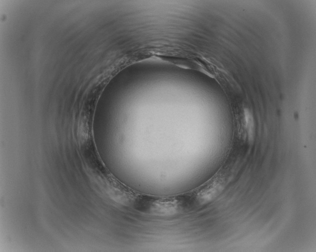 X0000074930606200609011052