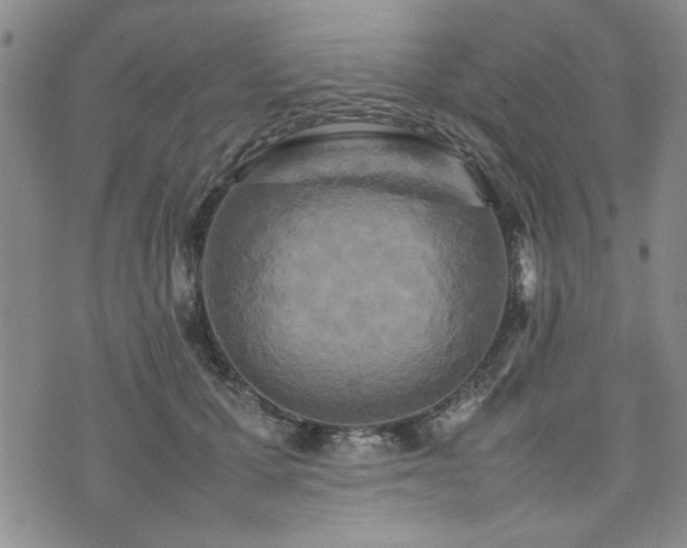 X0000074930607200609011052