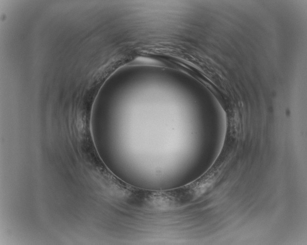 X0000074930608200609011052