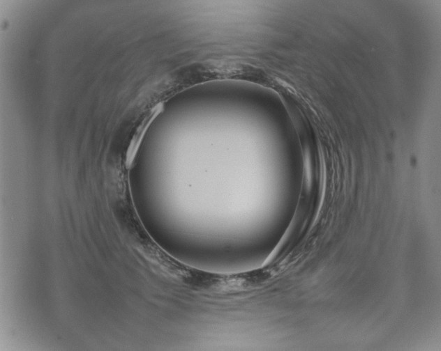 X0000074930609200609011052