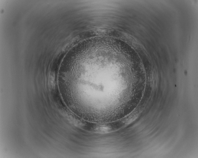 X0000074930610200609011052