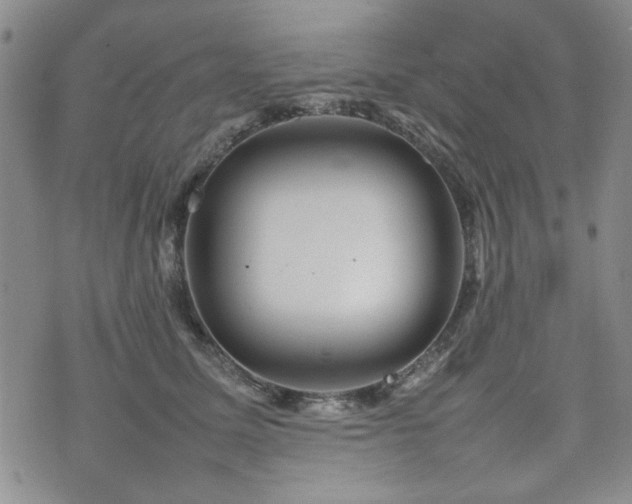 X0000074930611200609011052