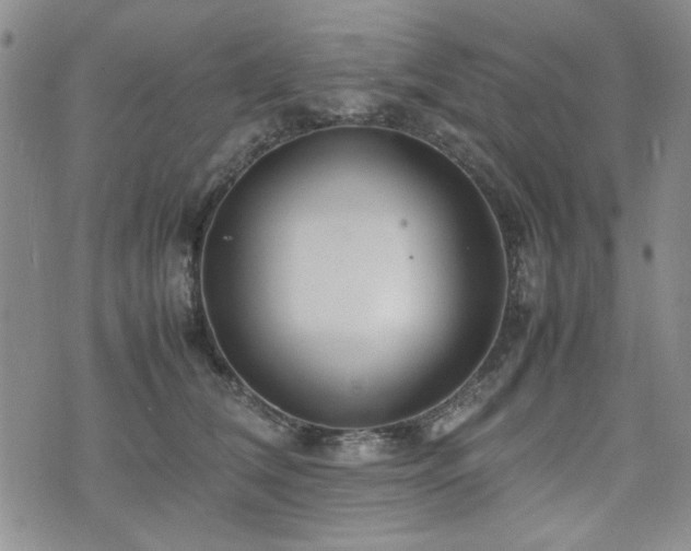 X0000074930612200609011052