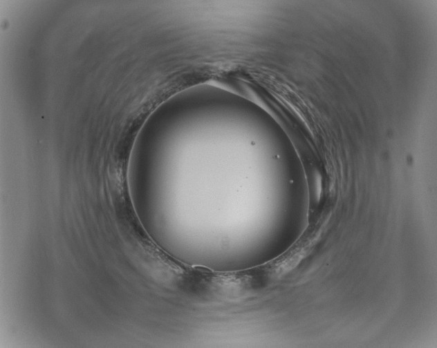 X0000074930613200609011052