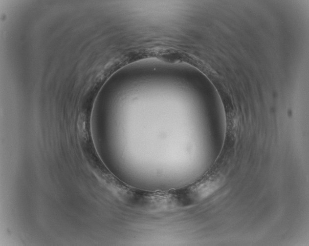 X0000074930615200609011052