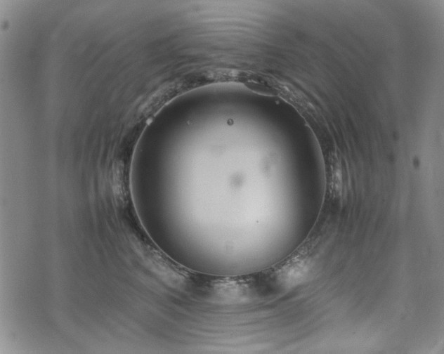 X0000074930616200609011052