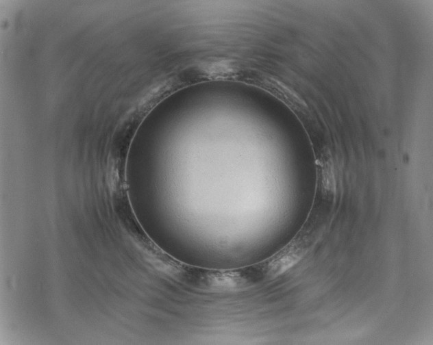 X0000074930618200609011052