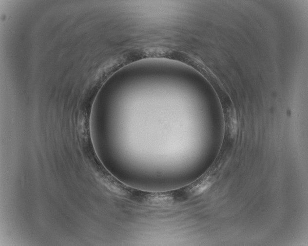 X0000074930619200609011052